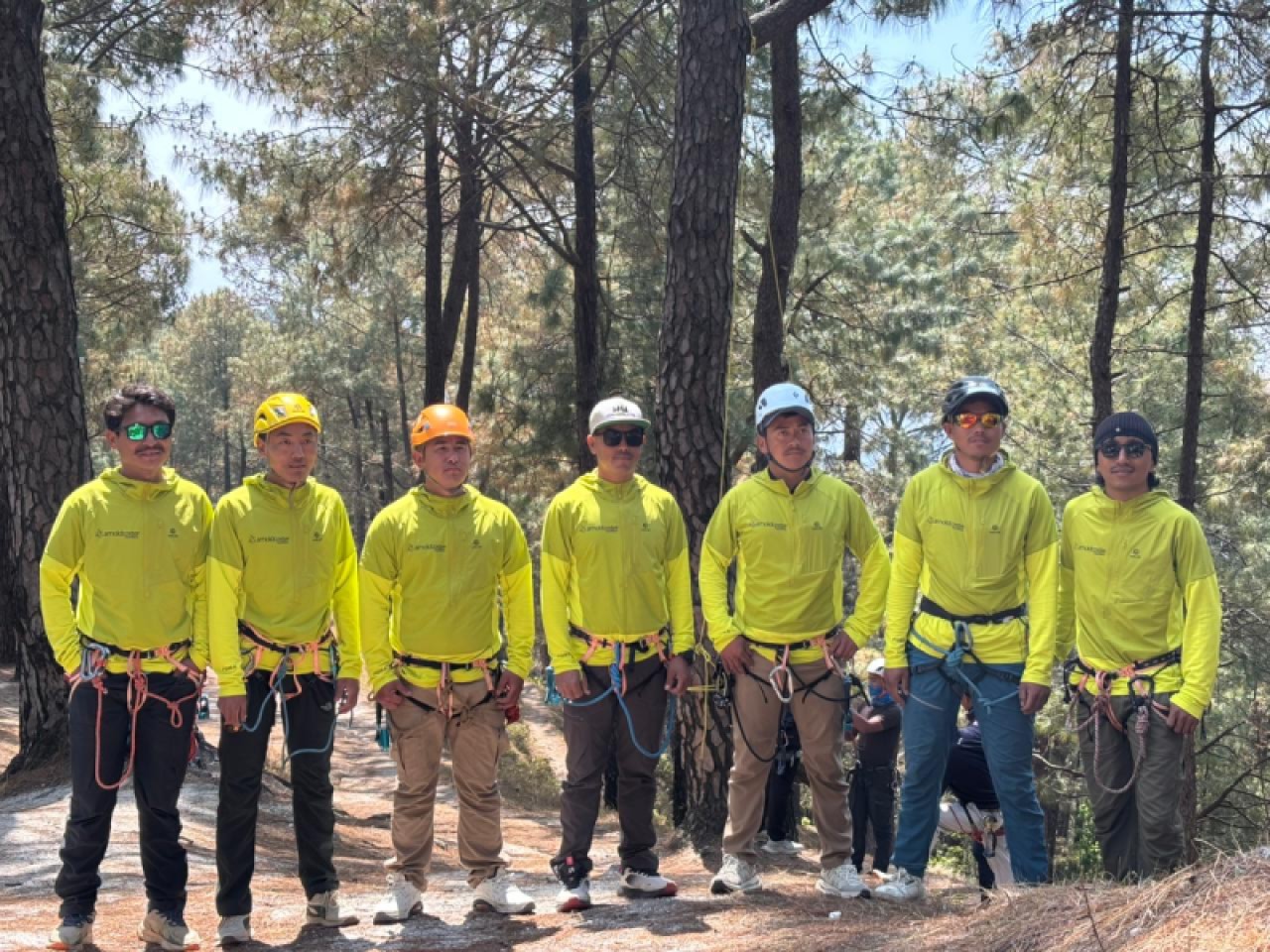 Our Team